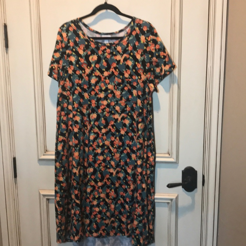LuLaRoe Carly Dress L